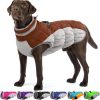 Dog Winter Jacket Cozy Reflective Waterproof Windproof Warm Pet Garment