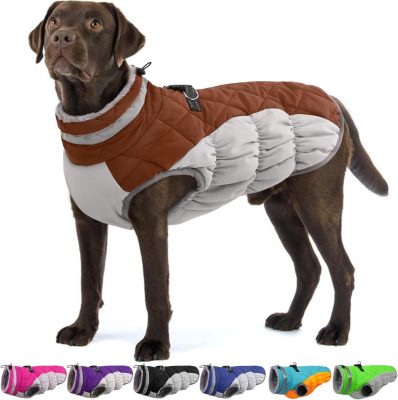 Dog Winter Jacket Cozy Reflective Waterproof Windproof Warm Pet Garment